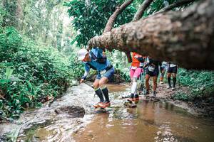 BIB: 
                            <button type="button" onclick="openModal(25374636)" class="btn btn-primary btn-sm float-right btn-popup" data-toggle="modal" data-target=".modal-high-quality">
                        <i class="fas fa-shopping-cart"></i> Add to Cart
                    </button>
                                            <button type="button" onclick="isThisMe(25374636, true)" class="btn btn-success btn-sm float-right btn-popup btn-isme hidden" data-toggle="tooltip" data-placement="bottom" title="นี่คือรูปของคุณใช่ไหม คลิกที่นี่เพื่อเอาเข้าอัลบั้ม">
                        <i class="fas fa-plus"></i> Add to album
                    </button>
                    <button type="button" onclick="isThisMe(25374636, false)" class="btn btn-warning btn-sm float-right btn-popup btn-isnotme hidden">
                        <i class="fas fa-ban"></i> Remove from album
                    </button>